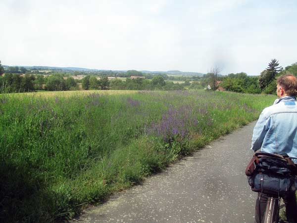 Blick auf den Reinheimer Teich. D. Diehl