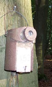 Vom Kleiber belegter Kasten.