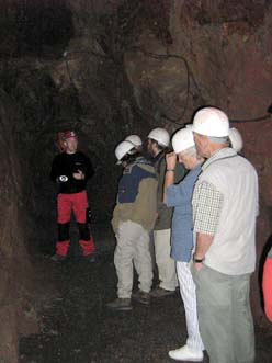 Fischsterben am L�nderbach.