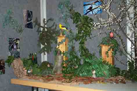 Diorama mit Artfauna-Vogelmodellen