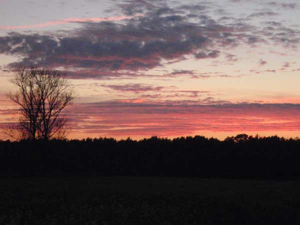 Abendhimmel am Ltzelforst (Dirk Diehl)