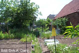 Zier- und Nutzgarten der Vorstadt