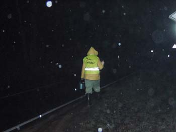 Auf Krtensuche bei Regenwetter (Dirk Diehl)